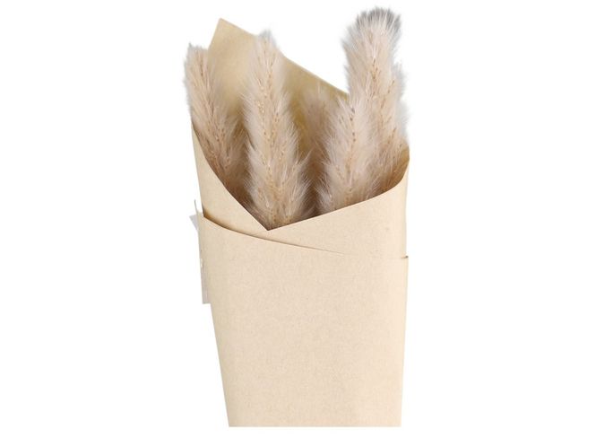 Hovedbilde Tørret pampagress L77cm
