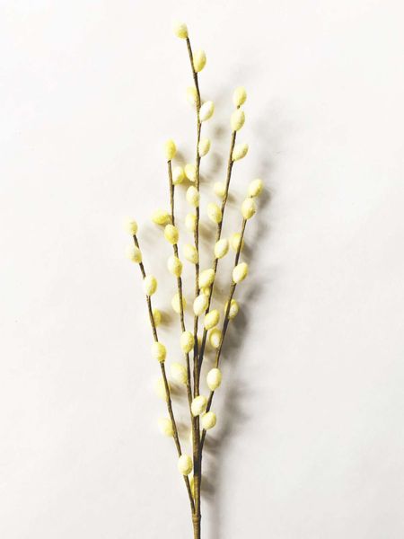 Gåsunger gren 85 cm gul