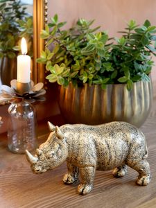 Hovedbilde Nesehorn antique messing