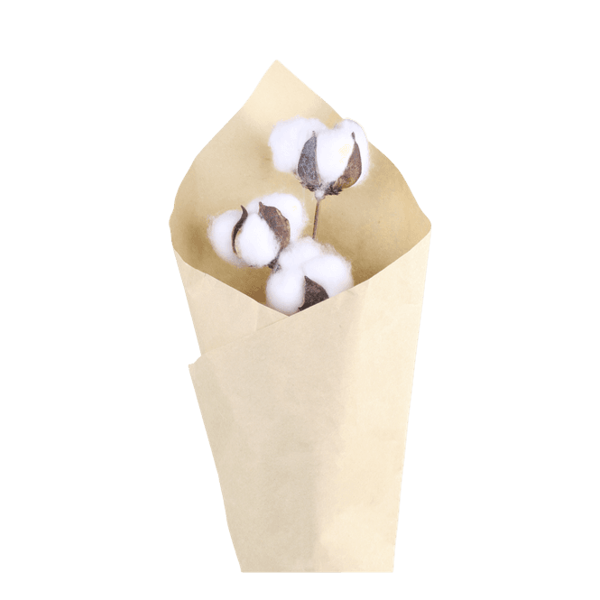 Hovedbilde Tørkede bomullsblomster, 60 cm