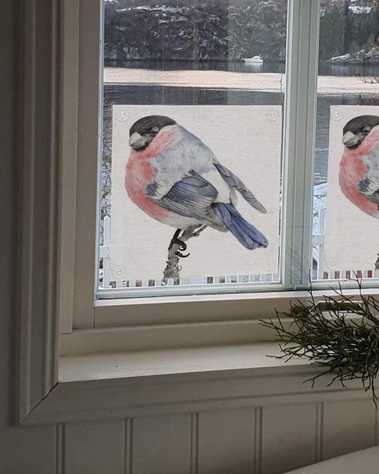 Hovedbilde Solskjerming/vindusskygge dompap