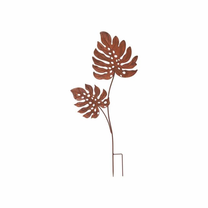 Hovedbilde Leaf Rust – H113 cm