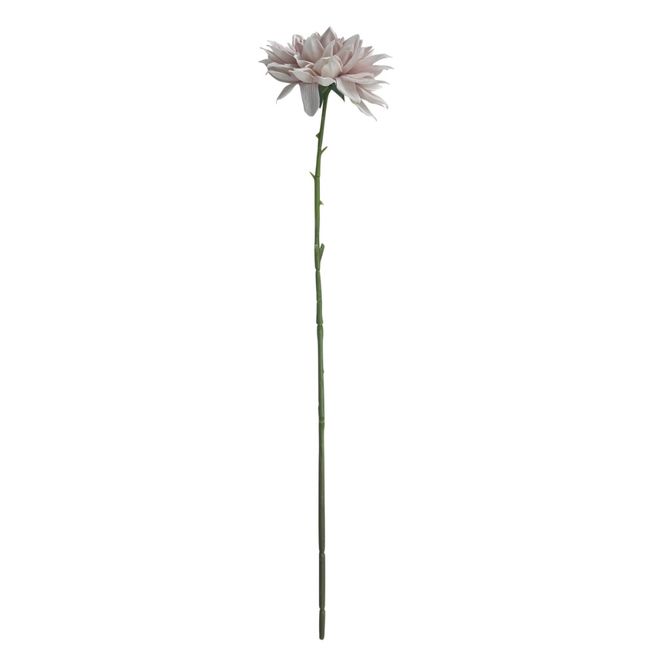 Hovedbilde Georgin stilk 72 cm
