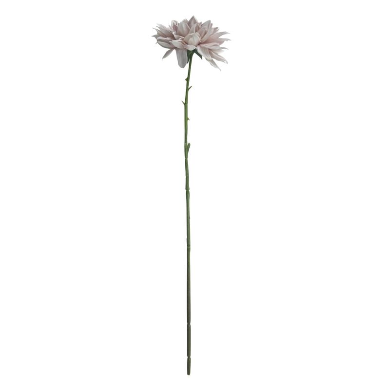 Georgin stilk 72 cm