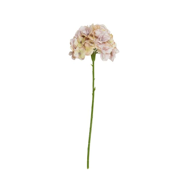 Hovedbilde Hortensia stilk 65 cm