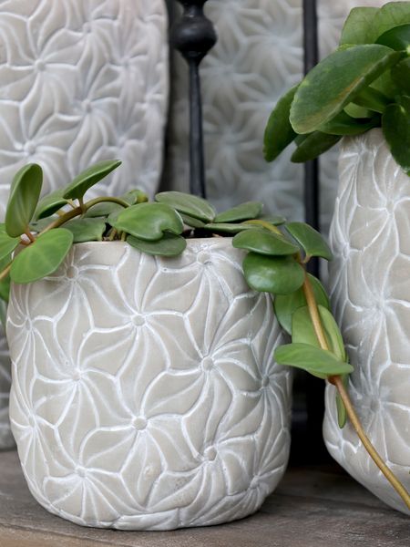 Colmar potte med blomster, H17,5/&Oslash;17 cm