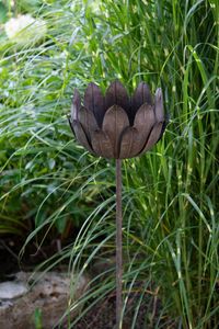 Hovedbilde Fakkelholder blomst