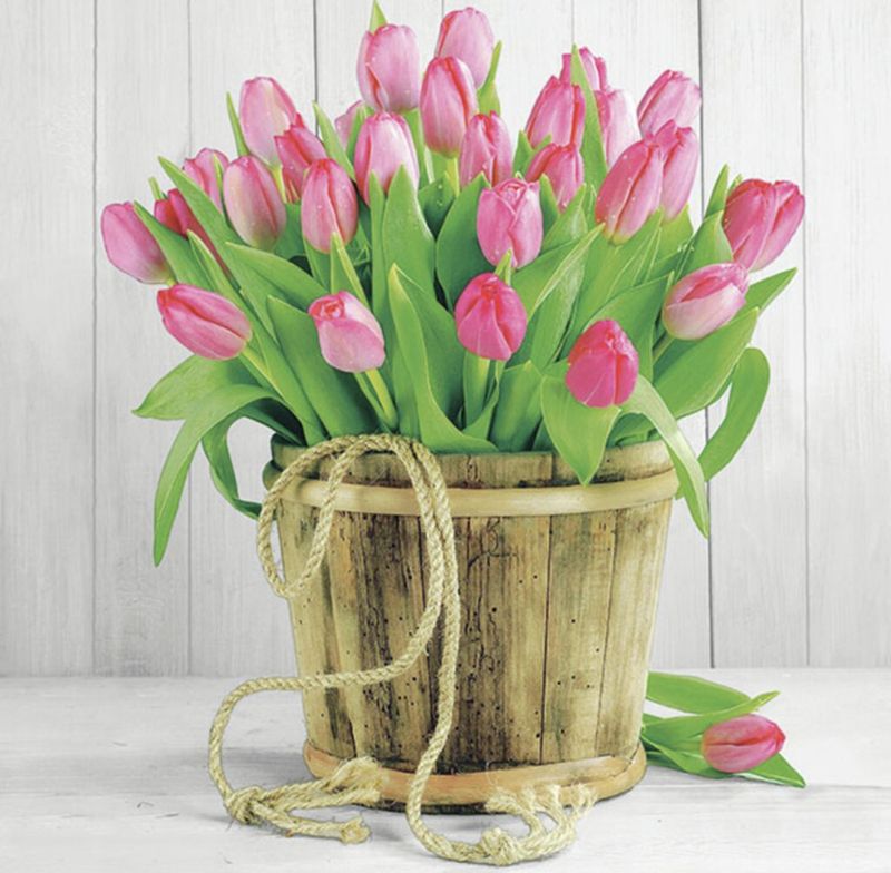 Servietter tulipan