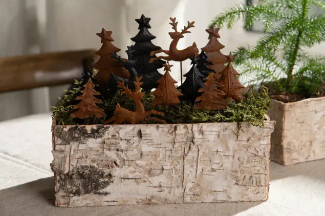 Hovedbilde Julegran stikk rust